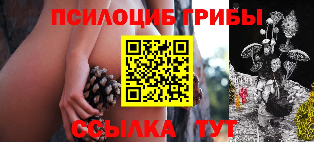 Галлюциногенные грибы GOLDEN TEACHER Дедовск